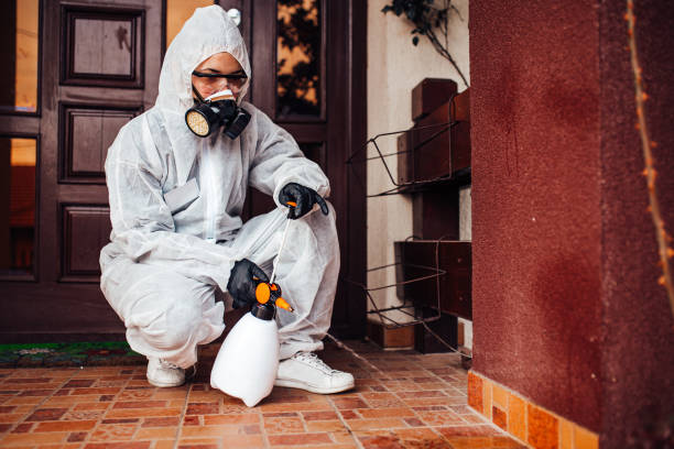 Reliable Cockroach Control contractor in Mound Bayou, MS by Nex Pest Control