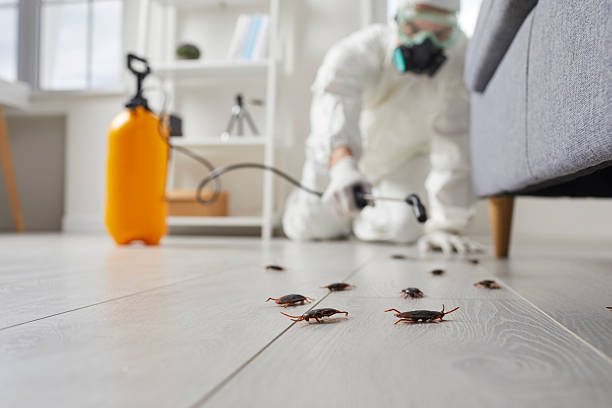Trusted Mosquito Control service in Mound Bayou, MS - Nex Pest Control